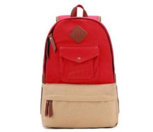 Best Selling Back to School Bag for Youth