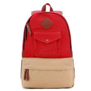 Best Selling Back to School Bag for Youth