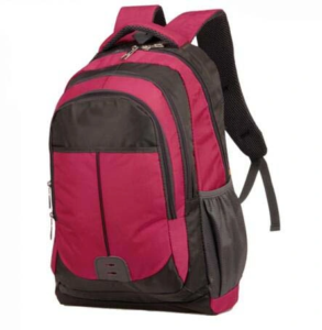 Cooler and Elegant Style Backpack for School Bags