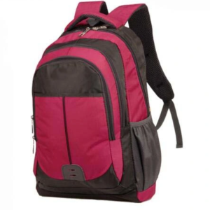 Cooler and Elegant Style Backpack for School Bags